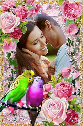 Love Bird Photo Frames स्क्रीनशॉट 3