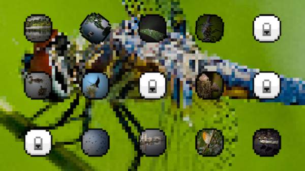 Birds Sounds and Ringtones screenshot 2