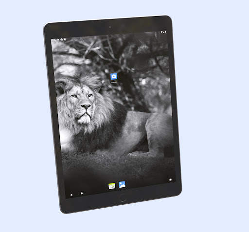 Android 13 Launcher screenshot 12