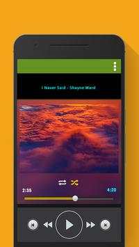 Music Player Without WiFi screenshot 1