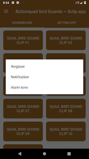 Buttonquail Bird Call Sounds ~ Sclip.app screenshot 3