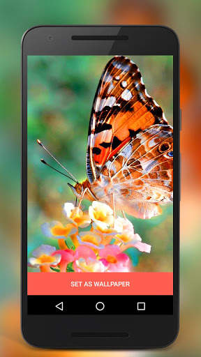 Butterfly Live Lock Screen screenshot 5