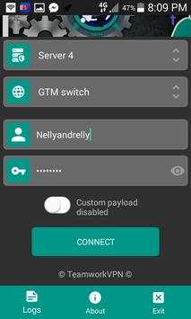 Teamwork-vpn screenshot 2
