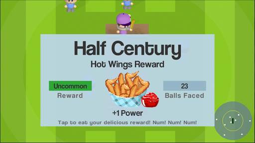 Smashtastic Cricket screenshot 3