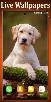 Labrador Puppies Live Wallpaper screenshot 4