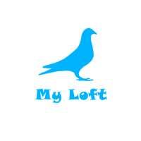 My Loft on 9Apps