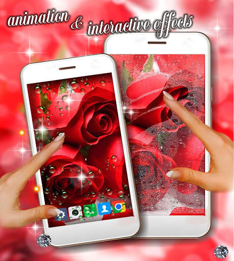 Love Roses Theme live wallpapar screenshot 3
