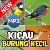 Suara Pikat Burung Kecil Ampuh on 9Apps