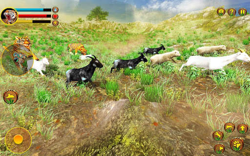 Wild Tiger Simulator 3d animal games screenshot 5