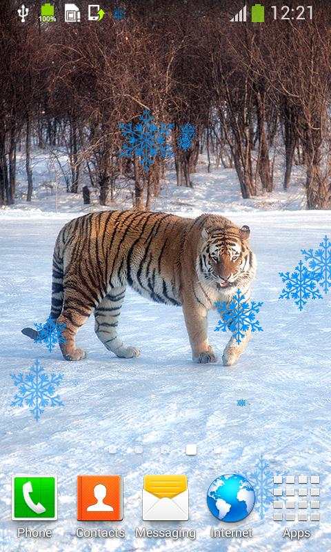 Tiger Live Wallpapers screenshot 4