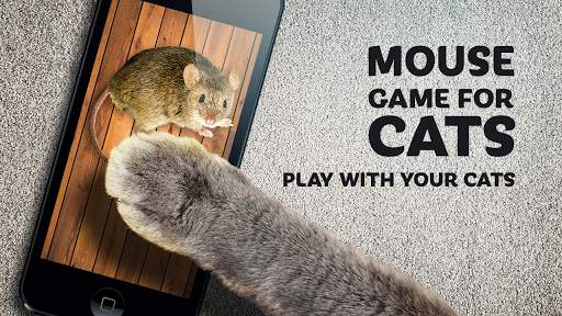 Mouse game toy for cats screenshot 1