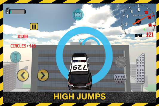 Police Car Driver Sim 3D screenshot 3