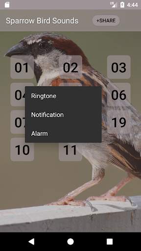 Sparrow Bird Sounds screenshot 2