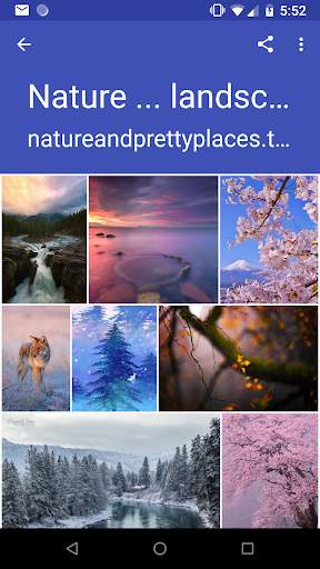Photo & Video Explorer and Downloader for Tumblr screenshot 2