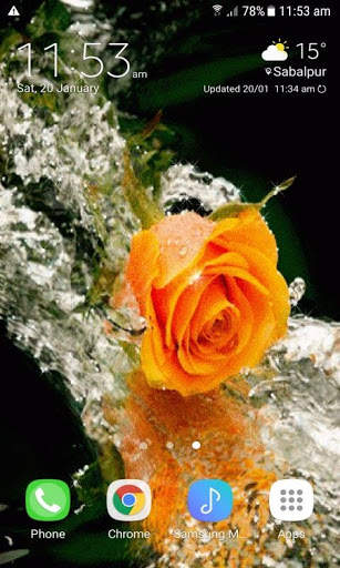 Lovely Yellow Rose LWP screenshot 3