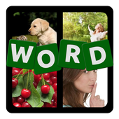 4 Pics 1 Word icon