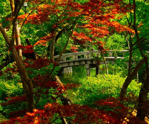 Garden Live Wallpaper screenshot 3