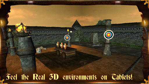Archery 3D Pro screenshot 10