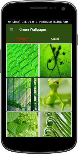 Green Wallpaper screenshot 1