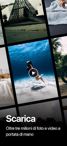 Pexels screenshot 1