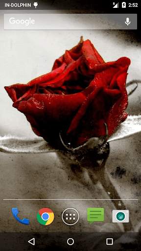 Love Rose Wave livewallpaper 3 تصوير الشاشة