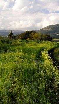 Palestine Wallpapers HD screenshot 7