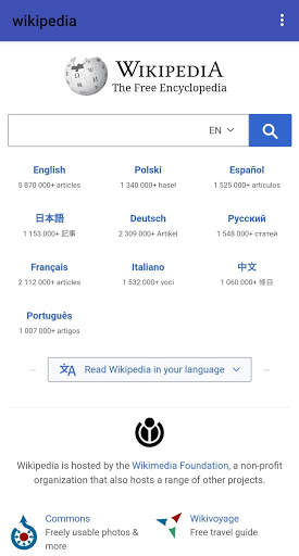 Browser screenshot 4