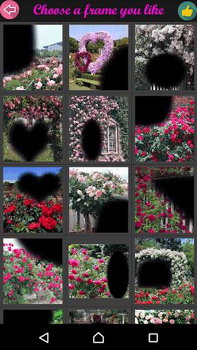 Rose Flower Frame screenshot 7