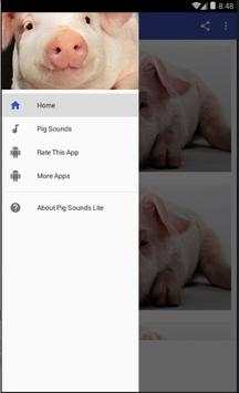 Pig Sounds Lite screenshot 2