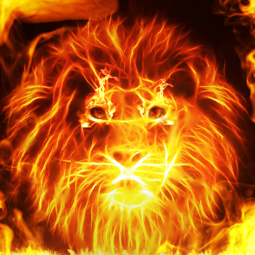 Fire Wallpaper and Keyboard - Fire Lion أيقونة