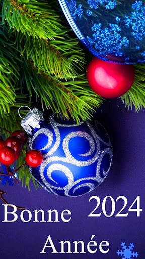 Bonne Année 2024 screenshot 8