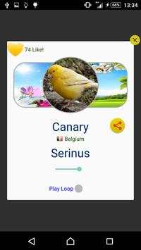 Bird Sounds screenshot 7