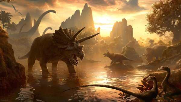 Dinosaur Live Wallpaper (Wallpapers & Backgrounds) screenshot 9