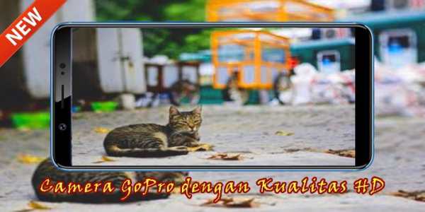 Camera Pro screenshot 2