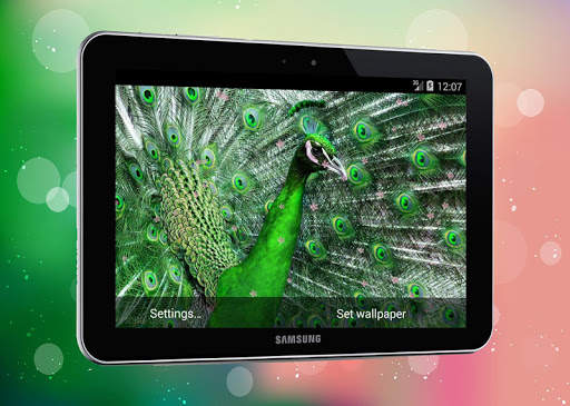 New Peacock Live Wallpaper screenshot 3