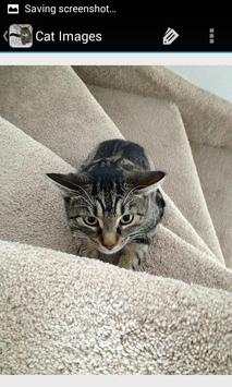 CatBG: Cat Wallpapers screenshot 7