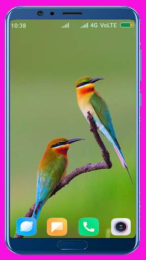 Bird Wallpaper Best 4K स्क्रीनशॉट 5