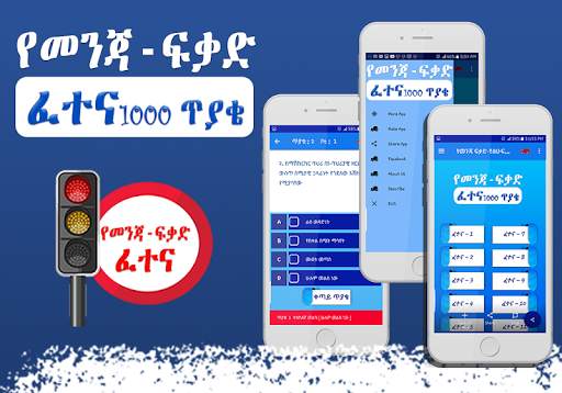 Driving License Exam - Amharic screenshot 6