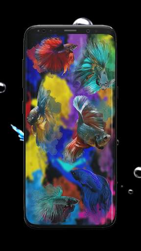 Betta Fish Wallpaper screenshot 3