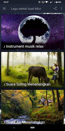 Lagu Santai Buat Tidur : Relaxing Music screenshot 2