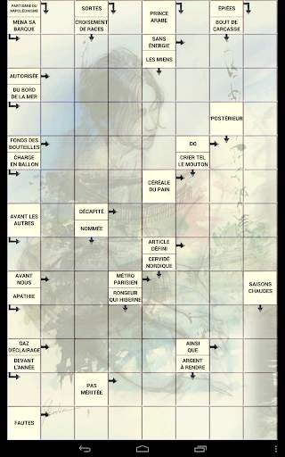 Mots Fleches screenshot 3