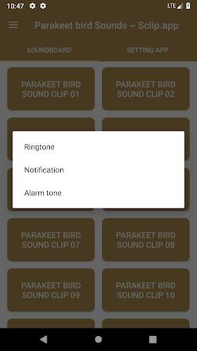 Parakeet Bird Sound Collections ~ Sclip.app screenshot 3