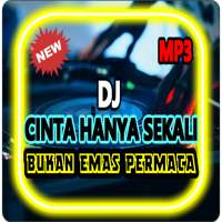 DJ Cinta Hanya Sekali | Bukan Emas Permata Tik Tok