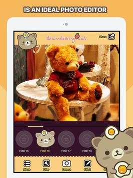 Picasa-photo editor official screenshot 2