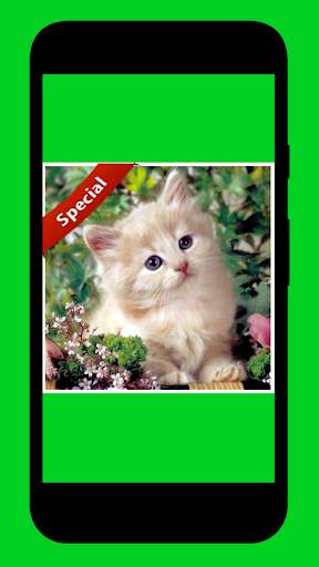SUARA KUCING TERBAIK screenshot 1