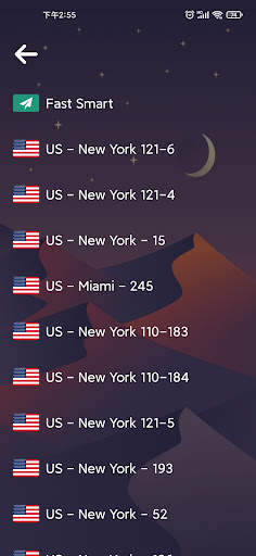 Rapid VPN screenshot 2