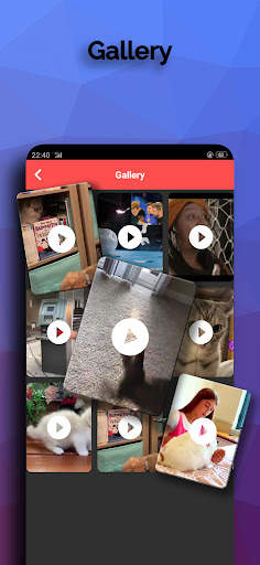 face video story Download screenshot 6