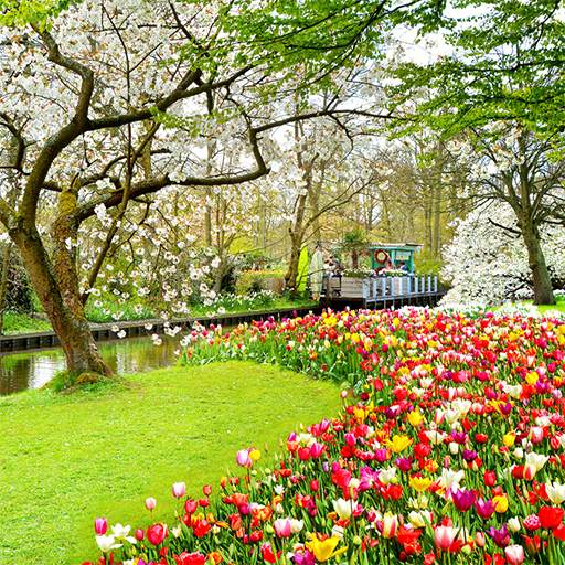 Beautiful Garden Wallpaper 1.0