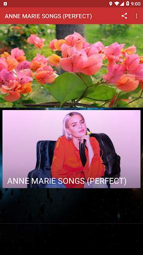 ANNE MARIE SONGS (PERFECT) screenshot 1