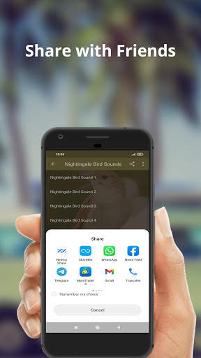 Nightingale Bird Sounds screenshot 4